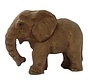 Elephant Calf 40465