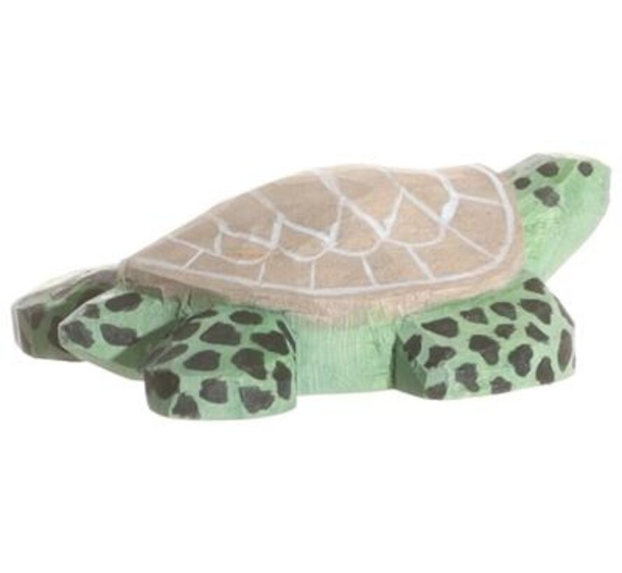 Turtle 40806