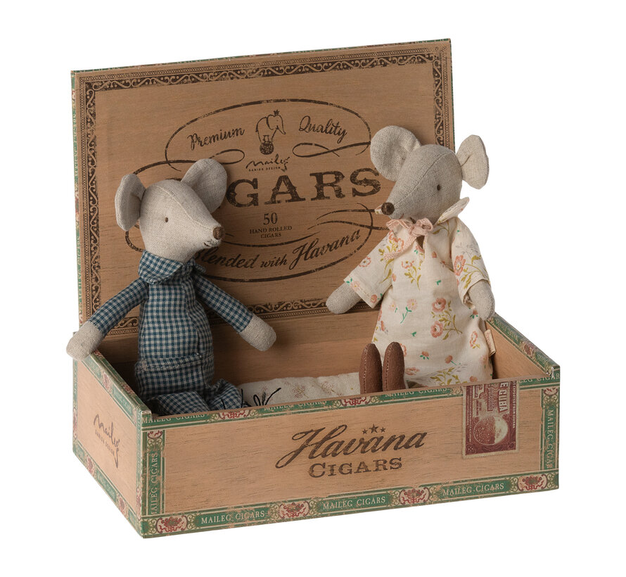 Grandma and Grandpa mice in cigarbox