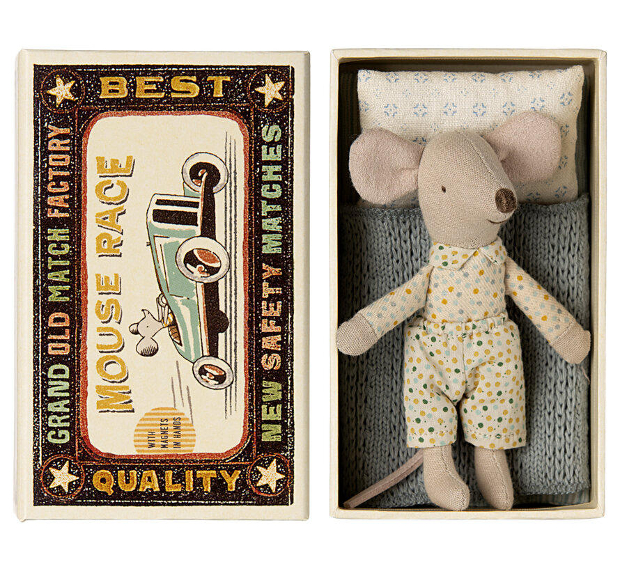 Little brother mouse in matchbox