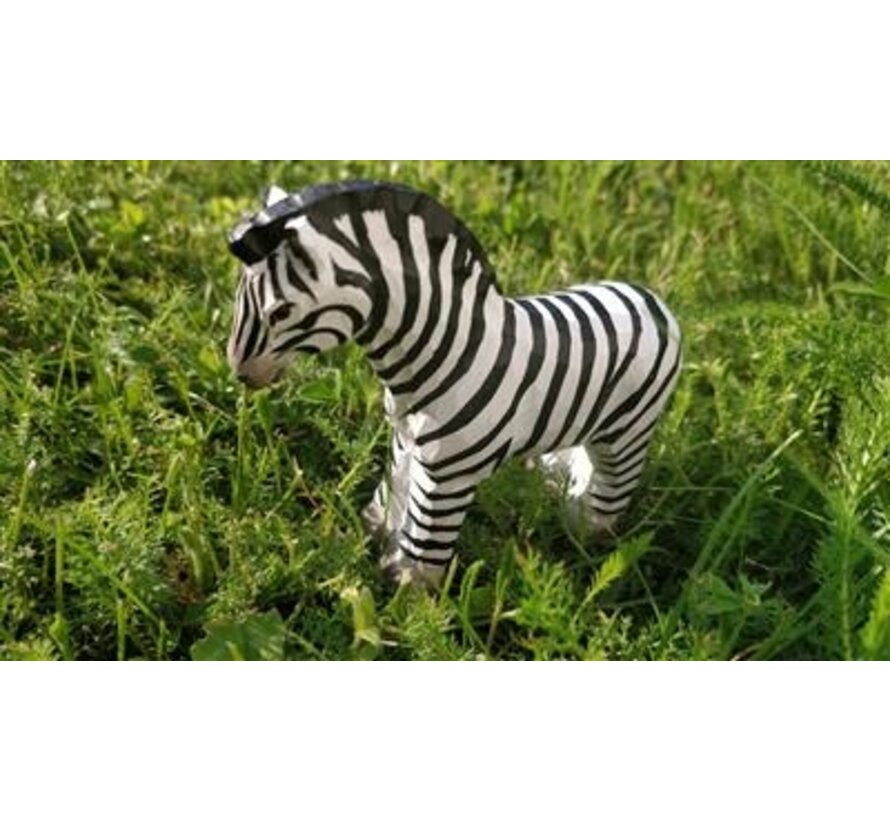 Zebra 40452