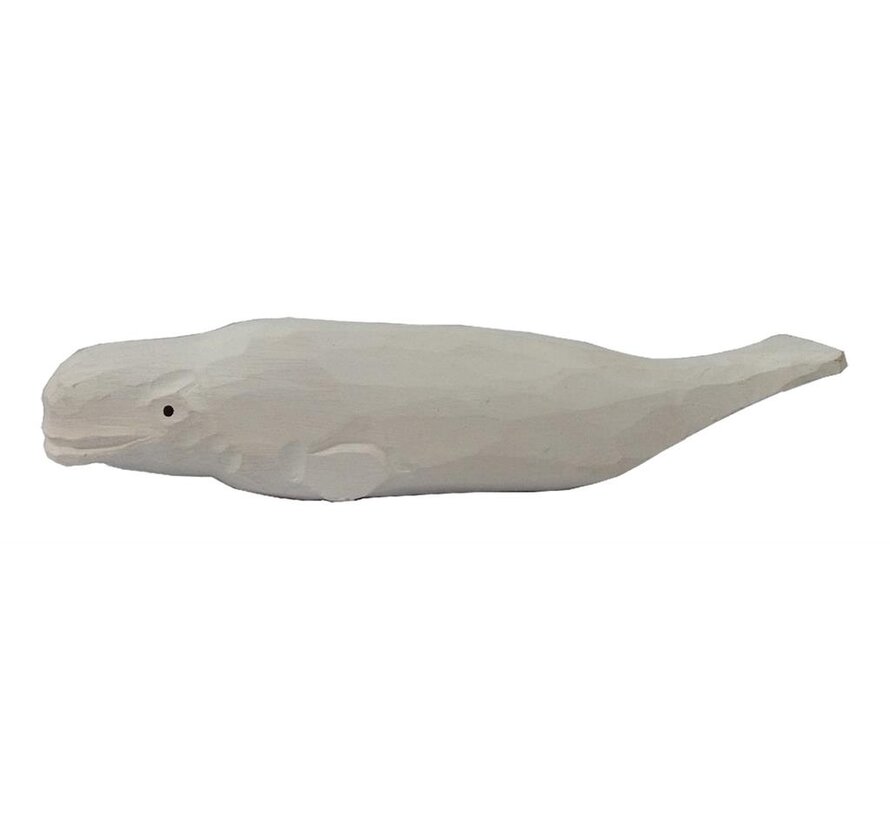 Beluga Whale 40824