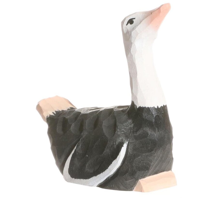 Struisvogel 41000