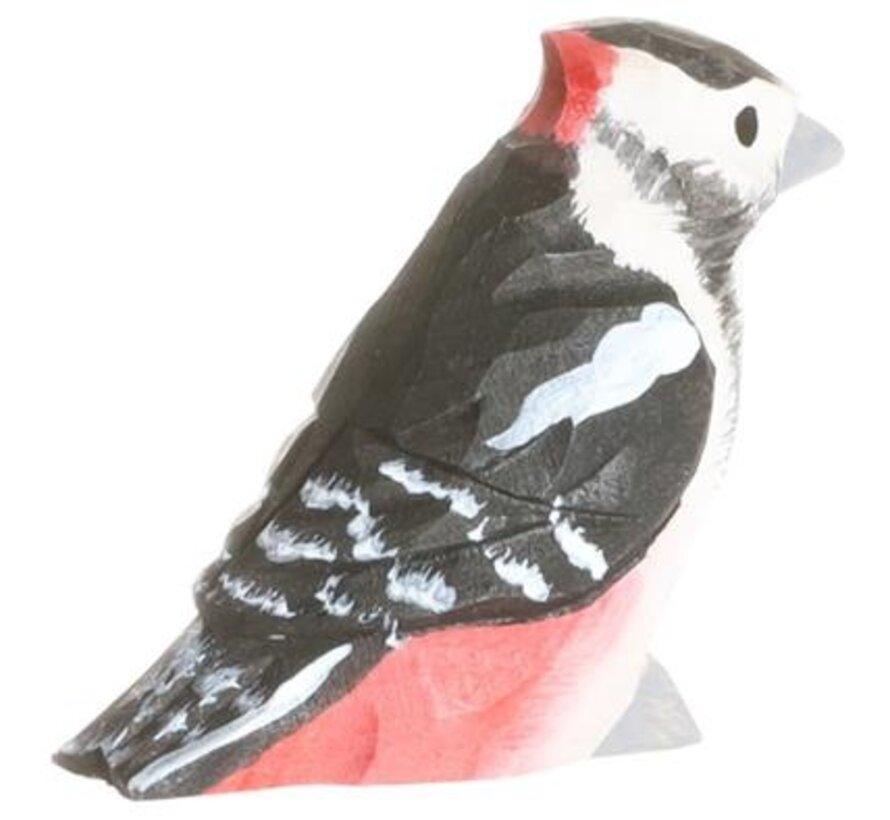 Woodpecker 41010