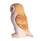 Barn Owl 41008
