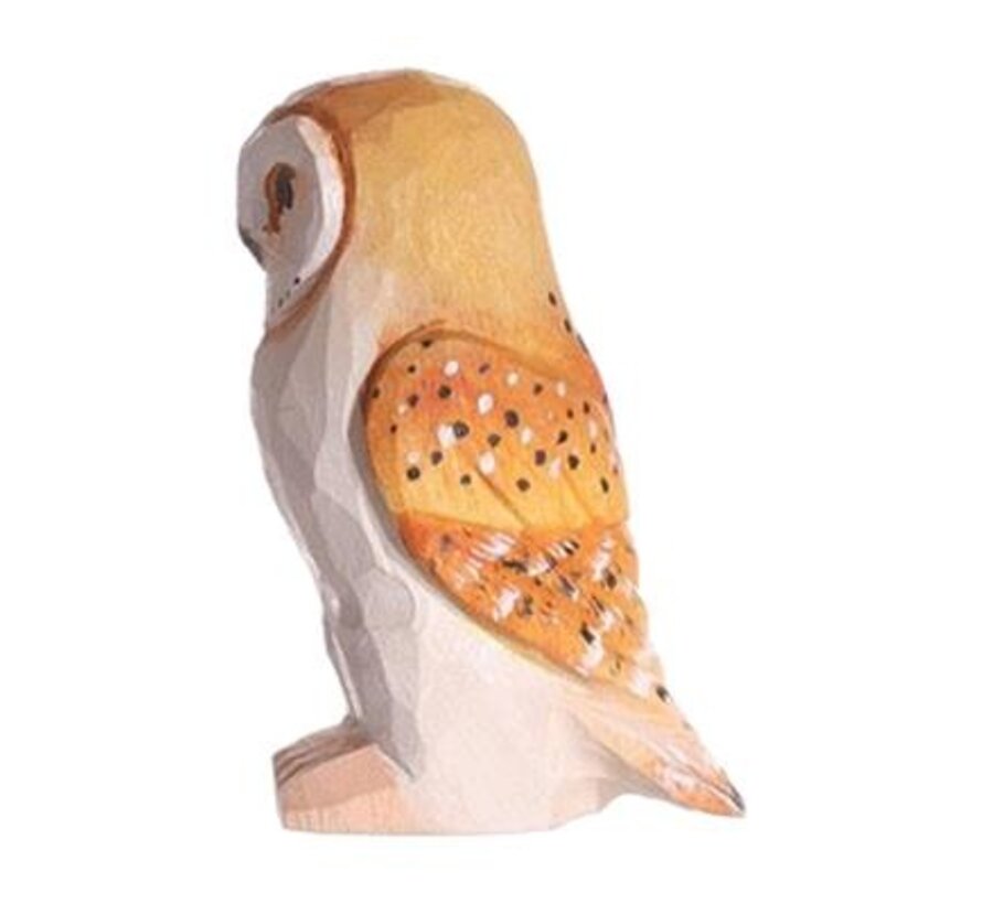 Barn Owl 41008