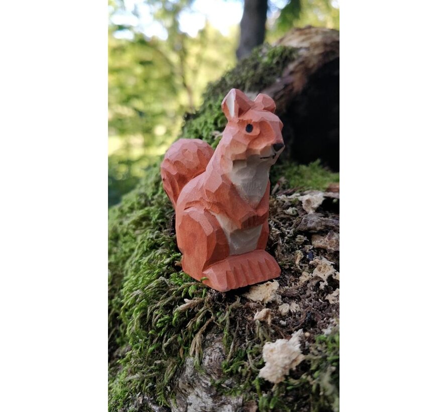 Red Squirrel 40714