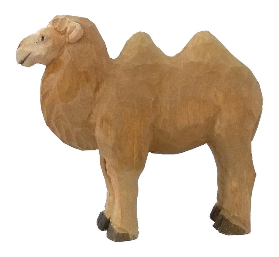 Bactrian Camel 40474