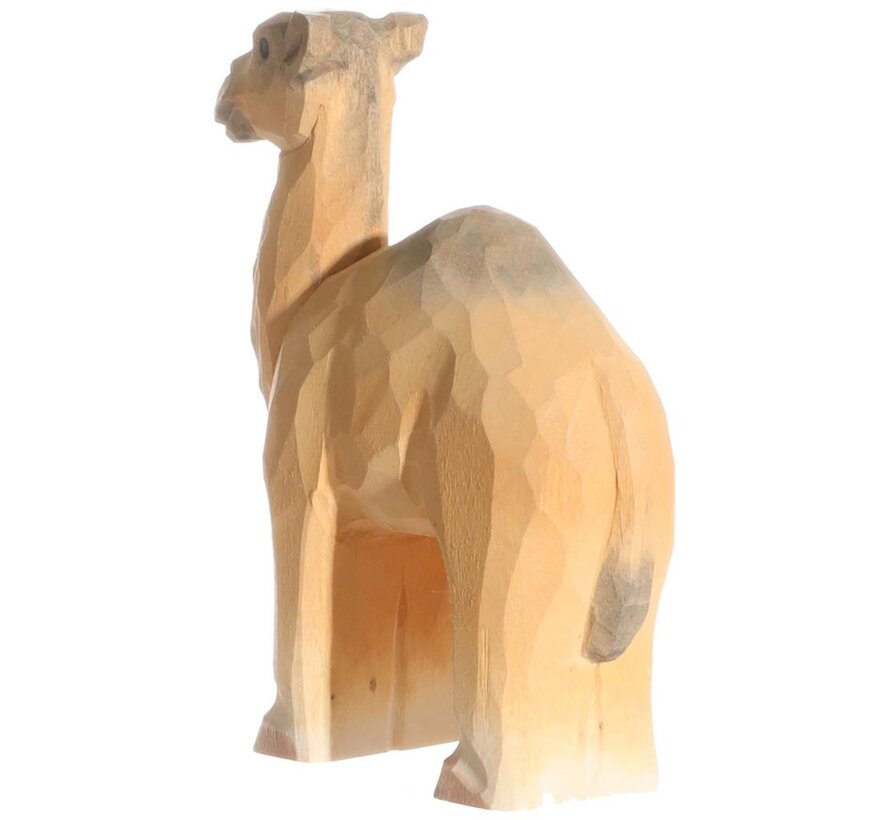 Dromedary 40473