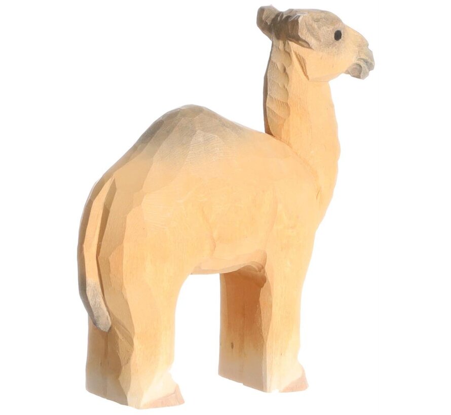 Dromedary 40473