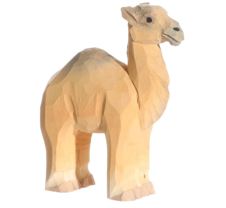 Dromedary 40473