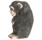 Chimpansee 40722