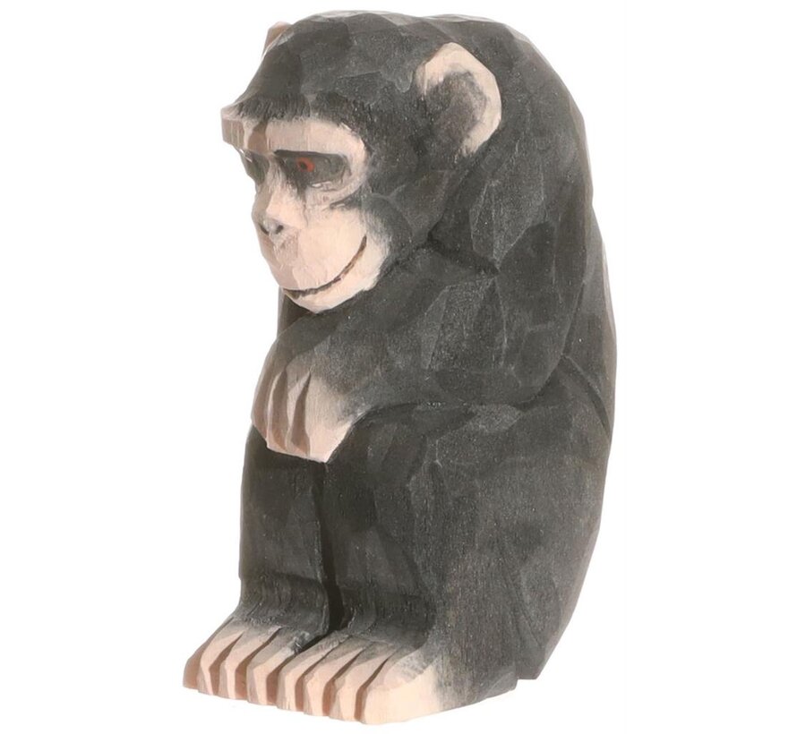 Chimpanzee 40722