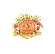 Ansichtkaart Muisje in pompoen