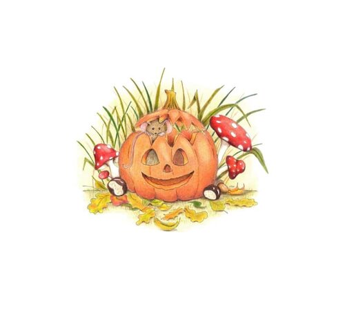 Ansichtkaart Muisje in pompoen