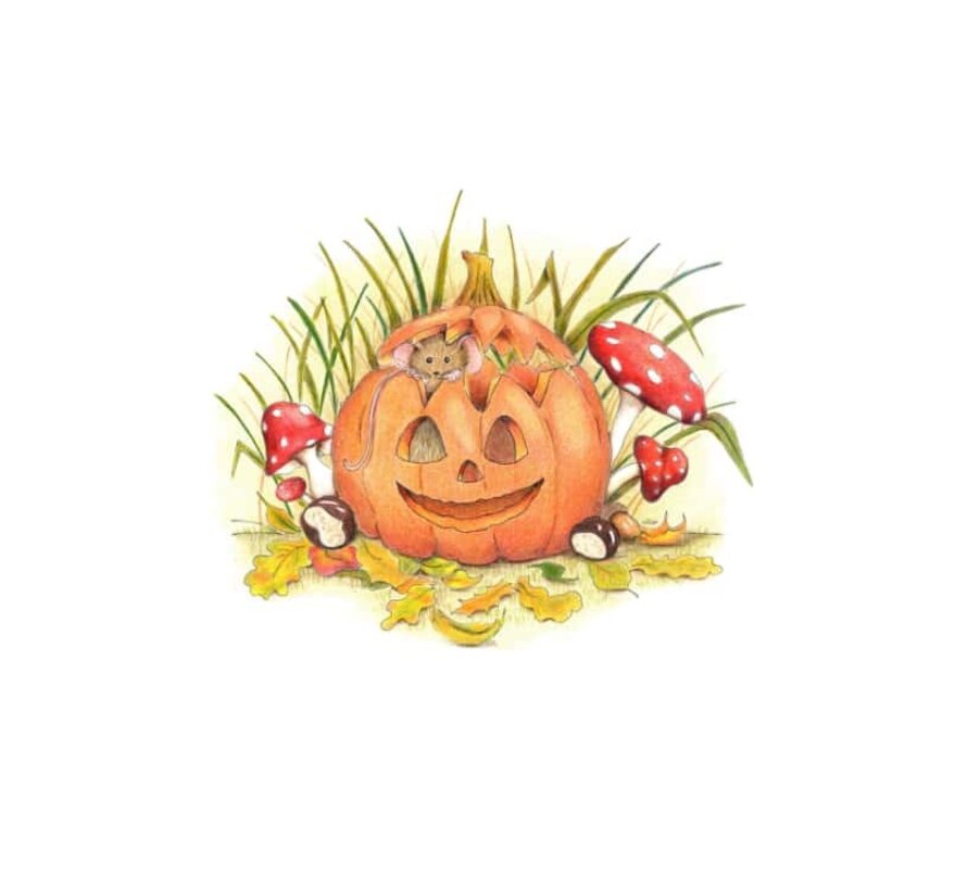 Ansichtkaart Muisje in pompoen