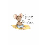 Ansichtkaart Hoera een zoon