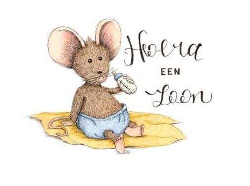 Ansichtkaart Hoera een zoon