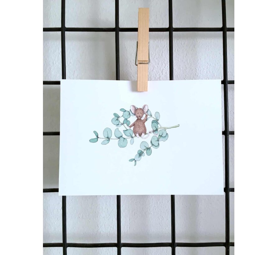 Ansichtkaart Eucalyptus muis
