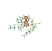 Anillustration Ansichtkaart Eucalyptus muis