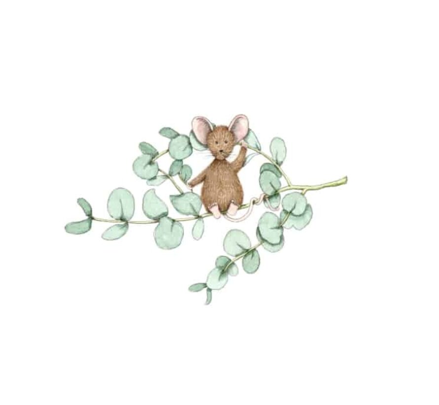 Ansichtkaart Eucalyptus muis