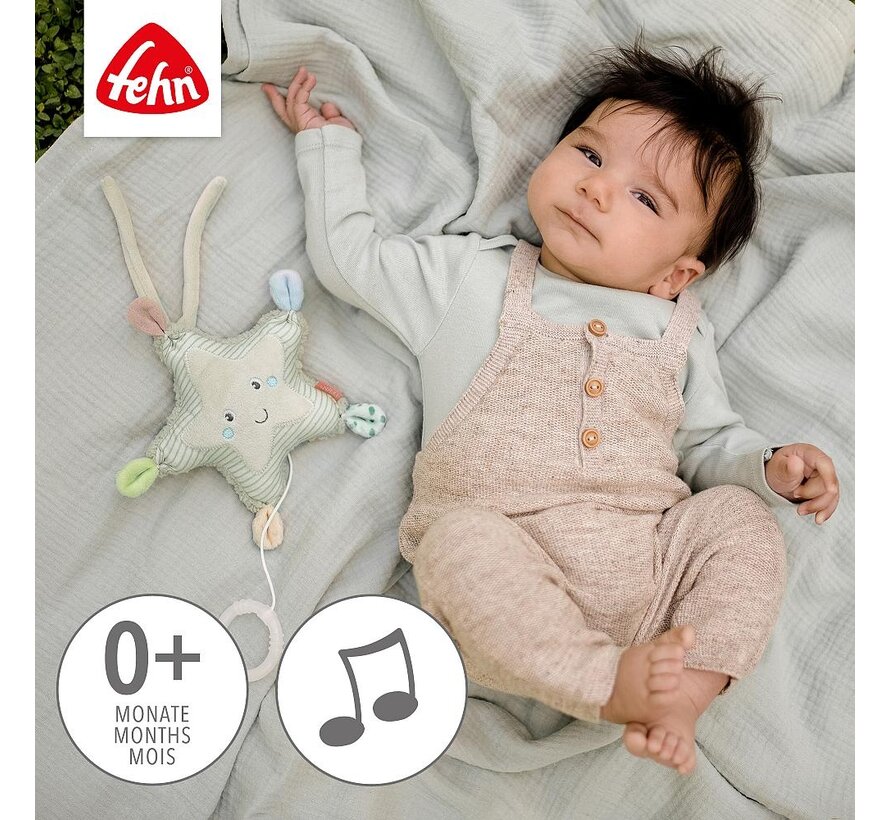 Mini Muziekknuffel Zeester