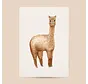 Poster Alpaca