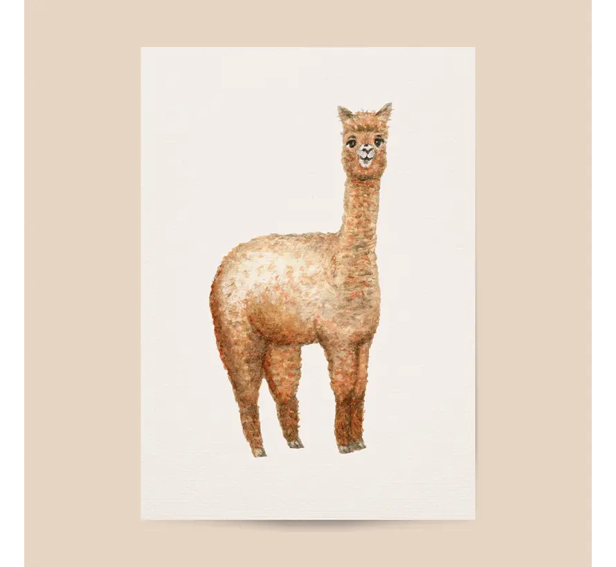 Poster Alpaca