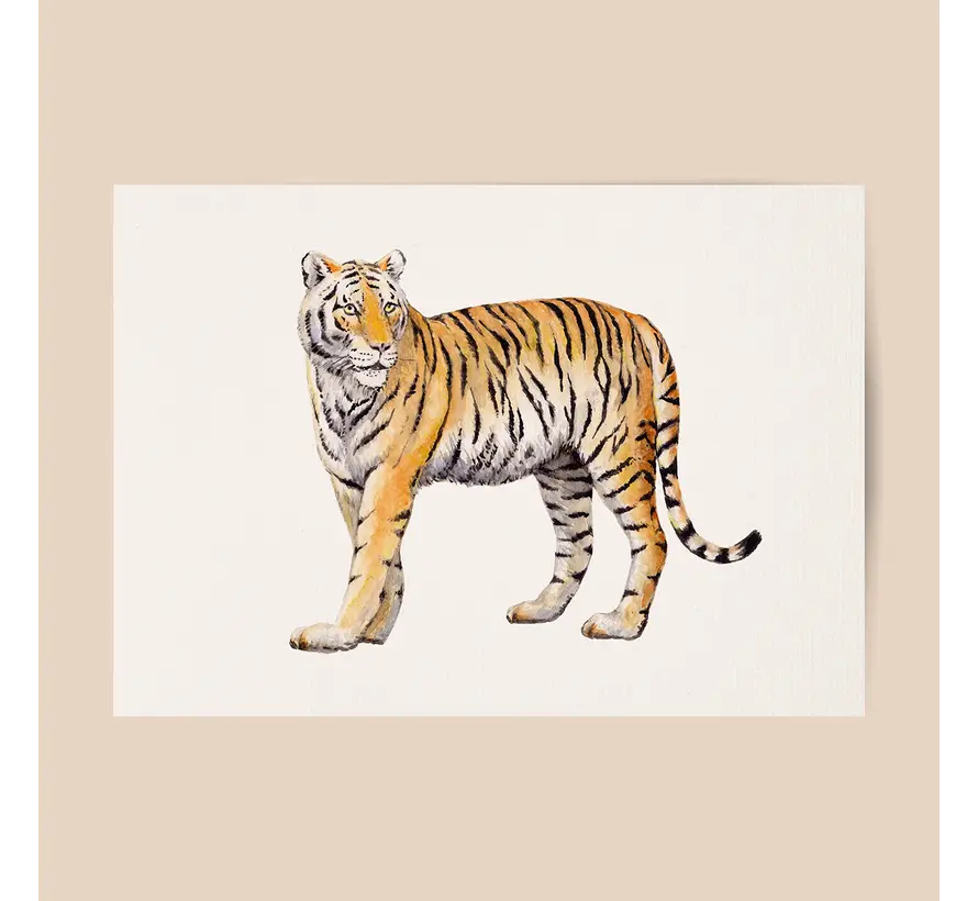 Poster Tijger A4