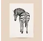 Poster Zebra A4