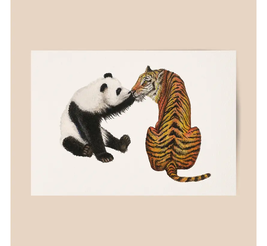 Poster Panda met Tijger