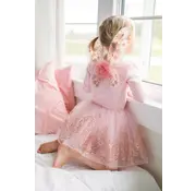 Great Pretenders Rose Gold Wings and Tutu Size 4-6