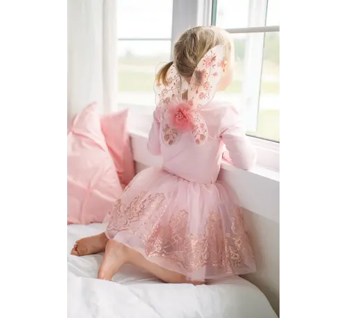 Great Pretenders Rose Gold Wings and Tutu Size 4-6