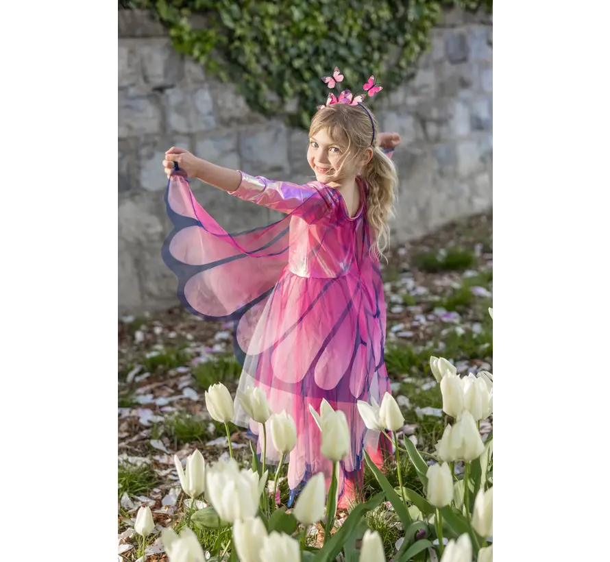 Verkleedkleding Butterfly Twirl Dress and Wings, size 3-4