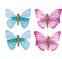 Butterfly Wishes (2 pcs)