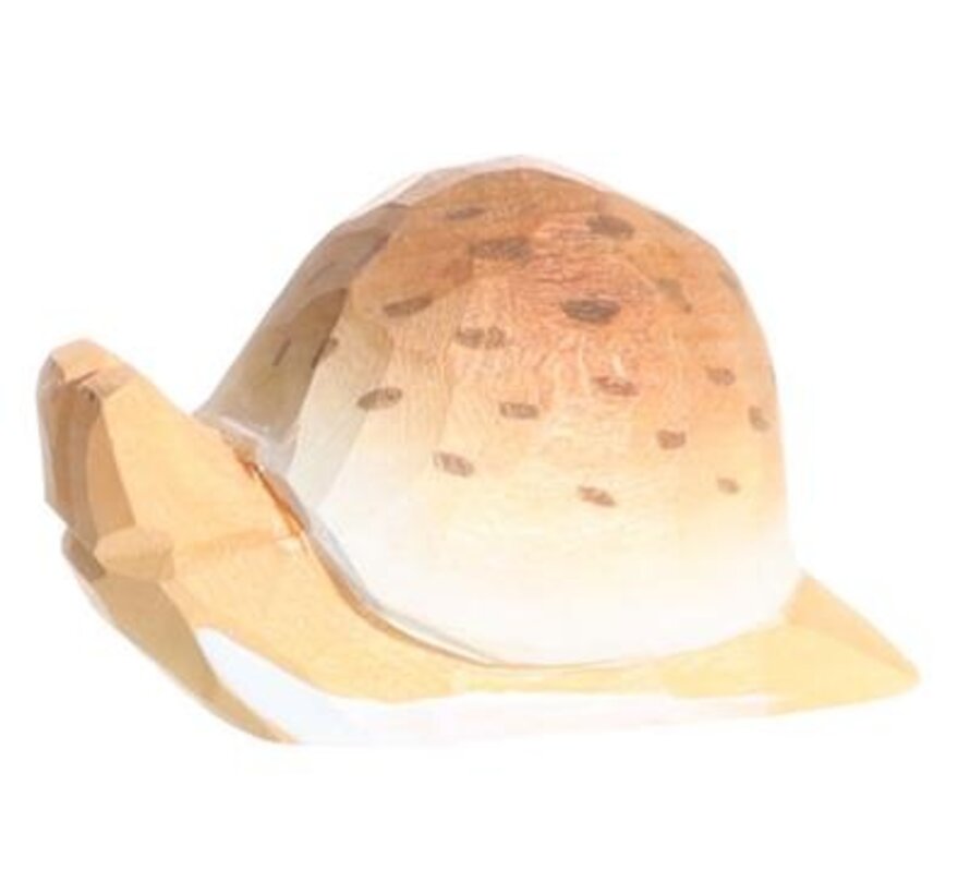 Snail 40715
