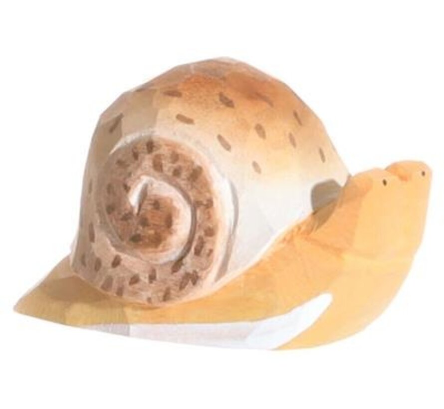 Snail 40715