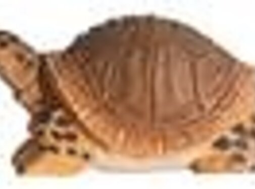 Wudimals Schildpad 40704