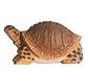 Tortoise 40704