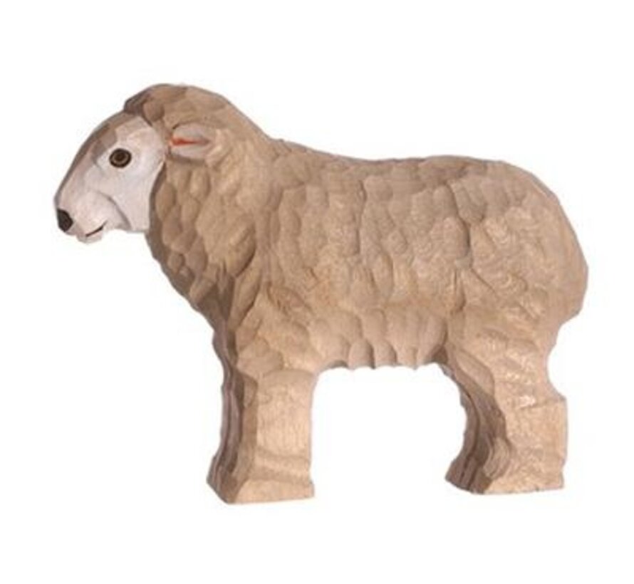Sheep 40605