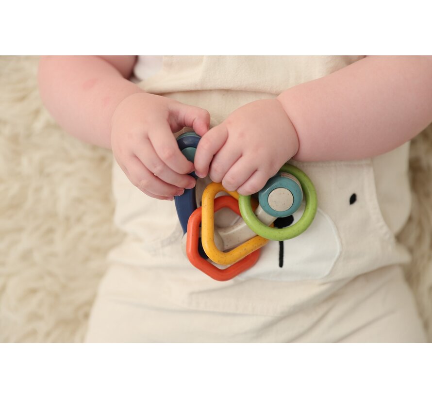 Bio Triangle Rattle
