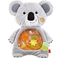 Waterspeelmat Koala