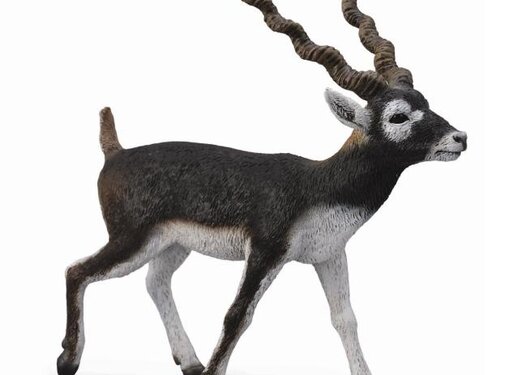 Collecta Antiloop Zwarte Bok 88638