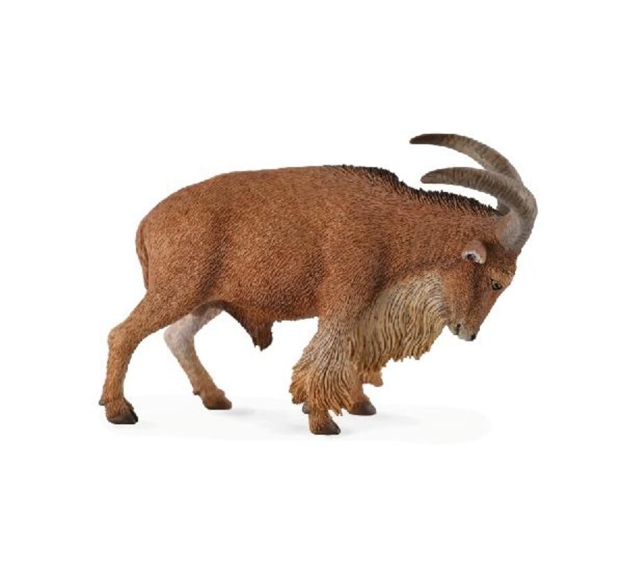 Barbarijs Schaap 88683