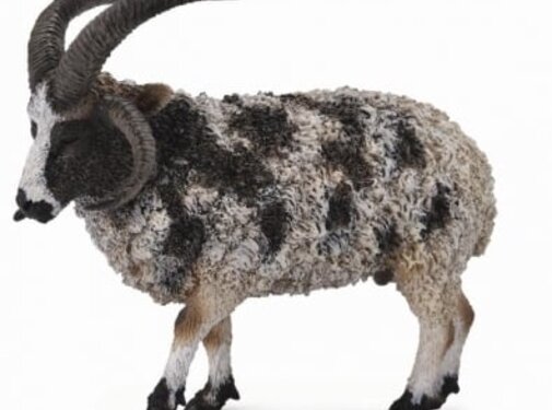 Collecta Jacobschaap 88728