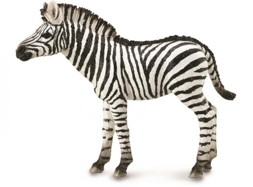 Collecta Zebra Veulen 88850