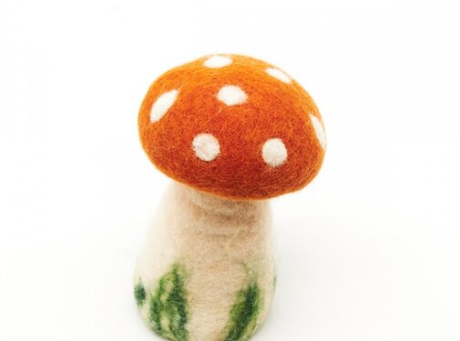 Sjaalmetverhaal Paddenstoel Cognac