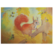 Minikaartje Eekhoorn