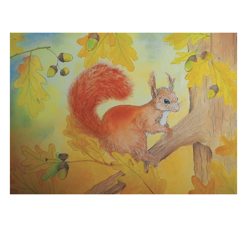 Minikaartje Eekhoorn