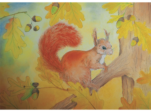 Brechtje Duijzer Minikaartje Eekhoorn